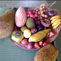 Tropical Fruits